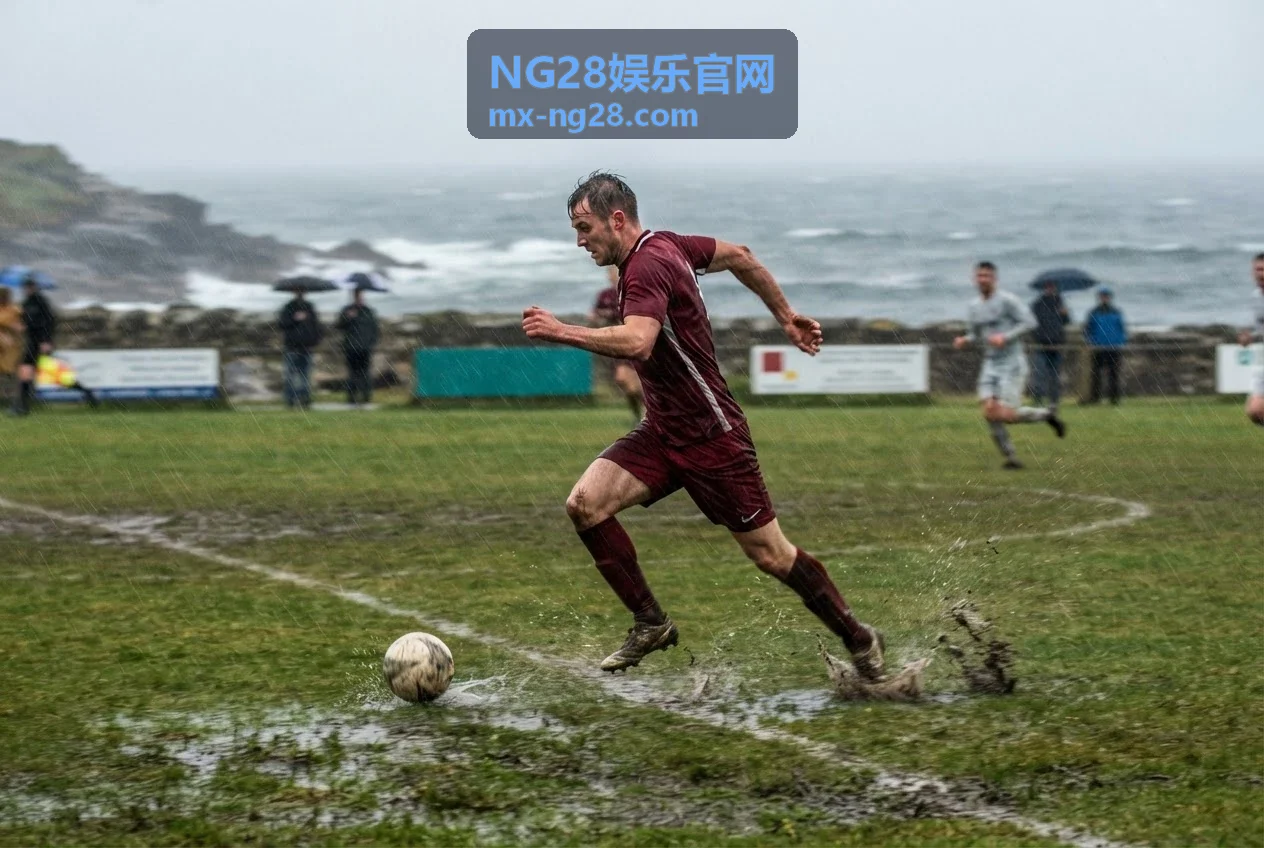 NG28娱乐官网VIP俱乐部专属权益